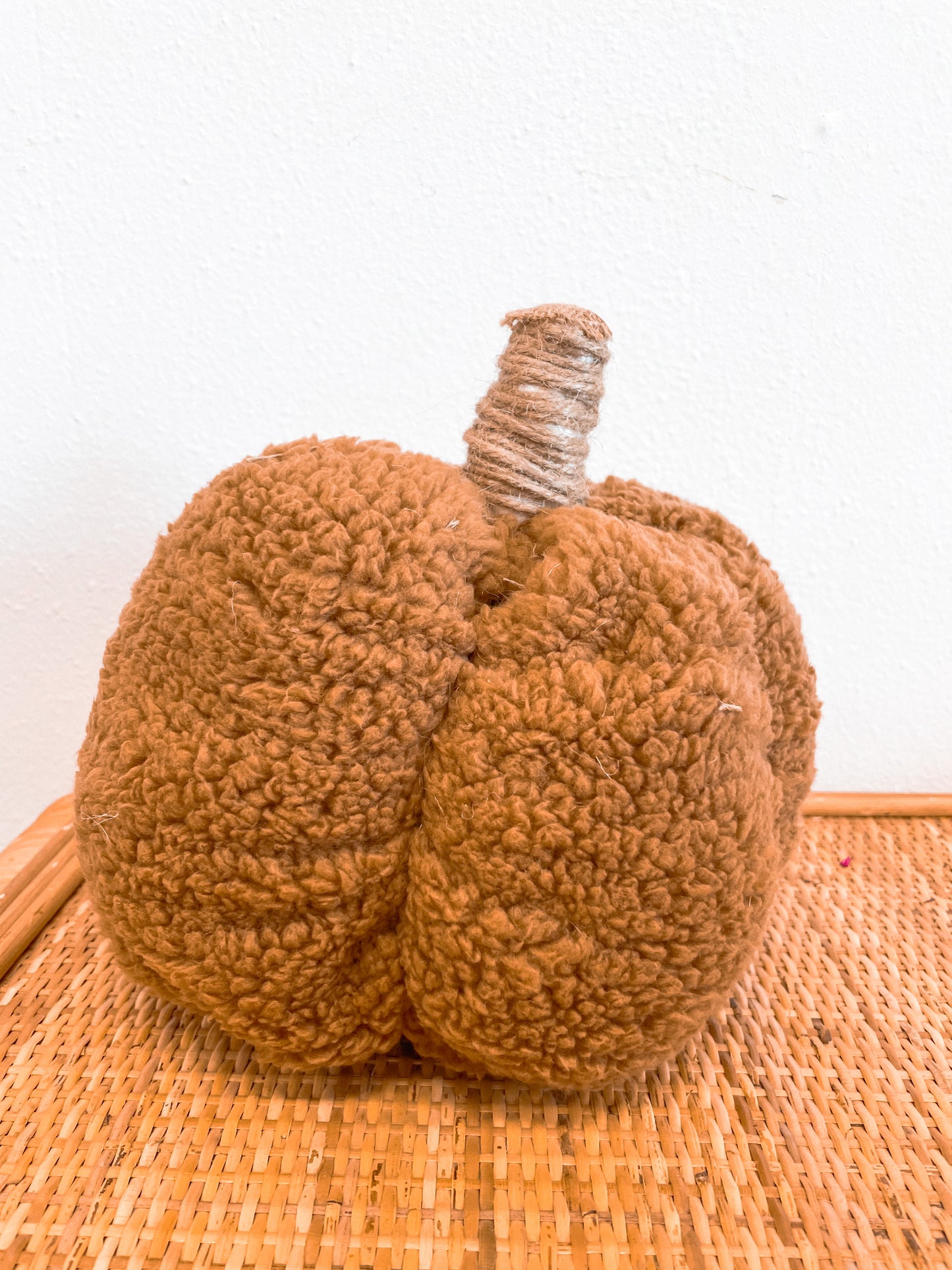 Brown Teddy Sherpa Pumpkin