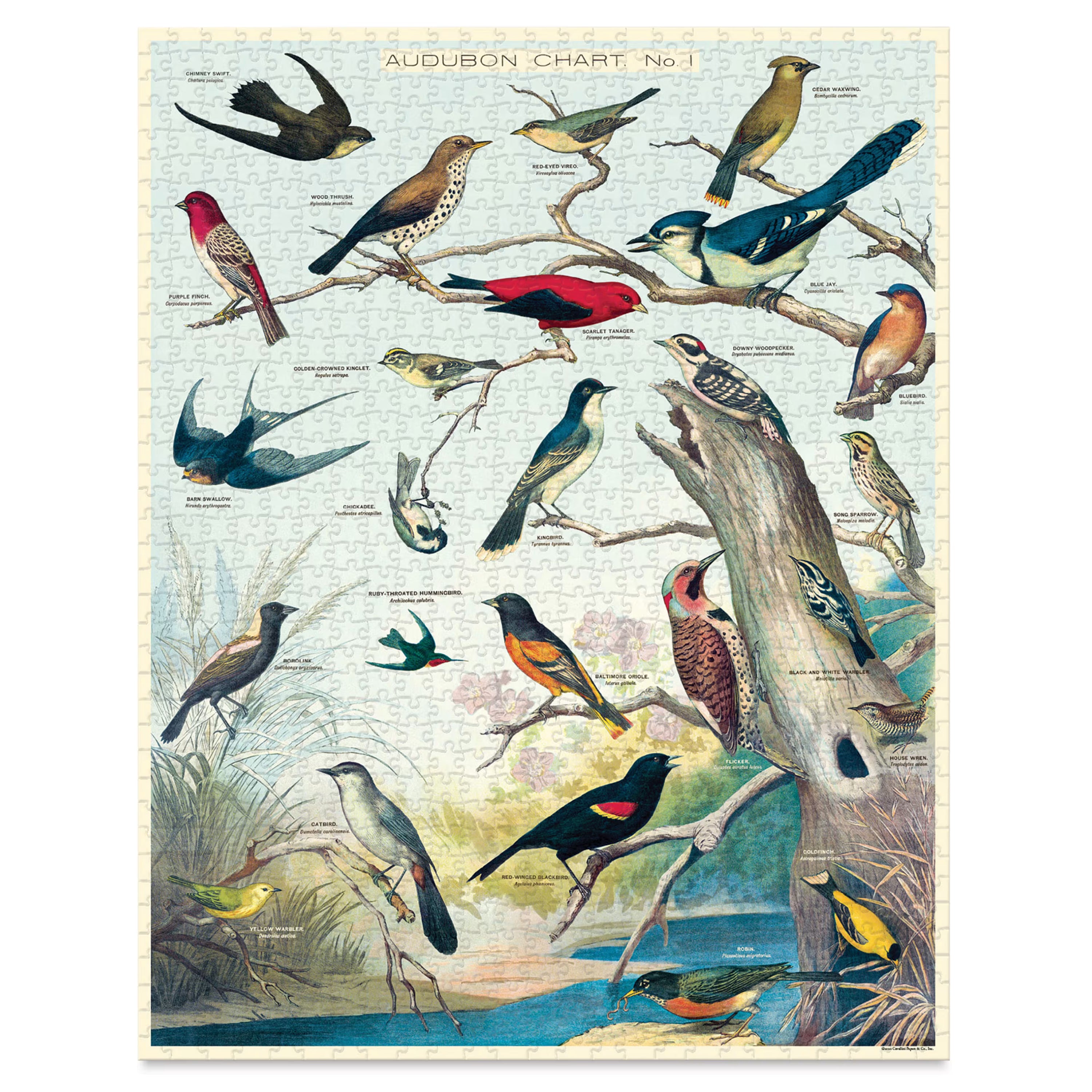 Birds | 1,000 Piece Jigsaw Puzzle
