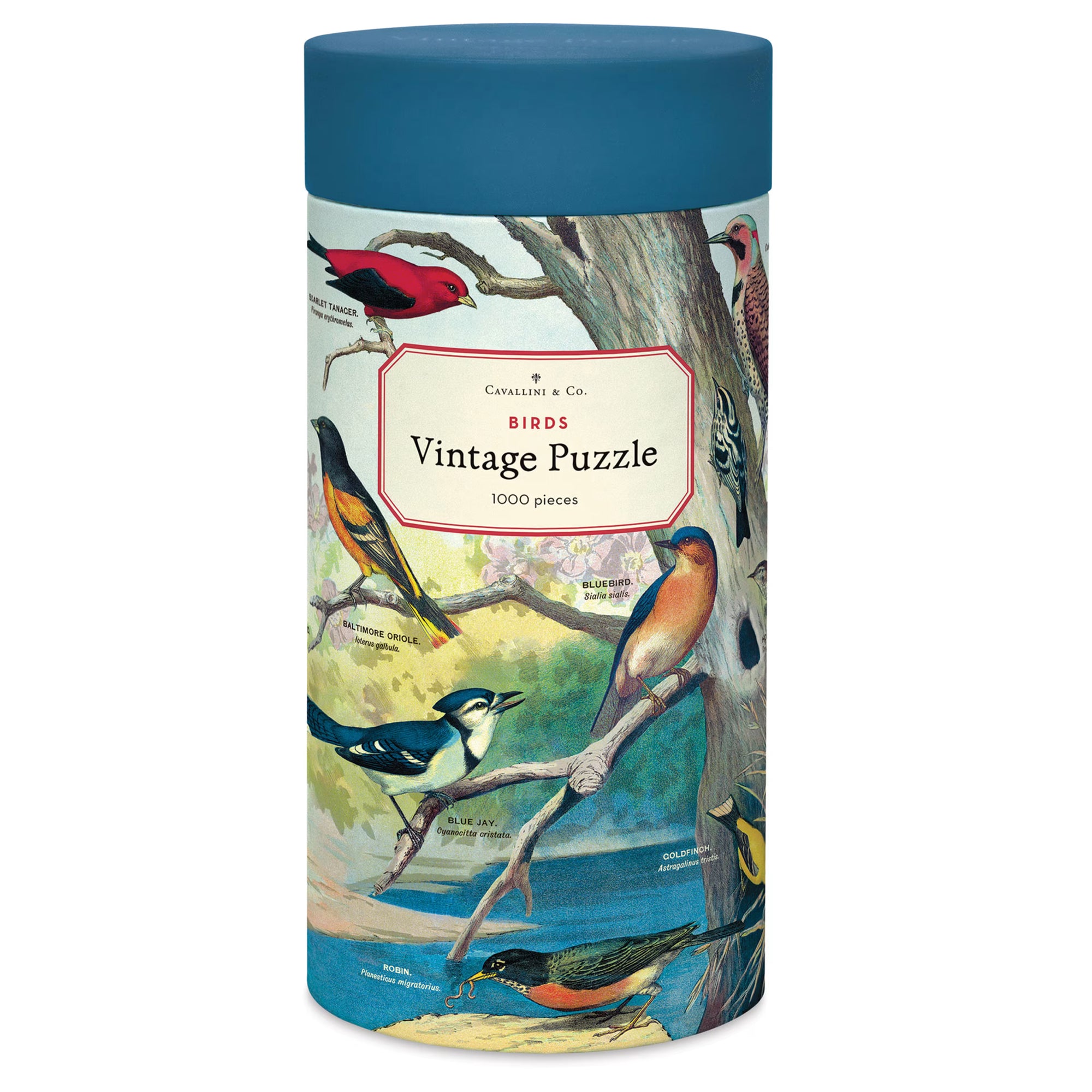 Birds | 1,000 Piece Jigsaw Puzzle