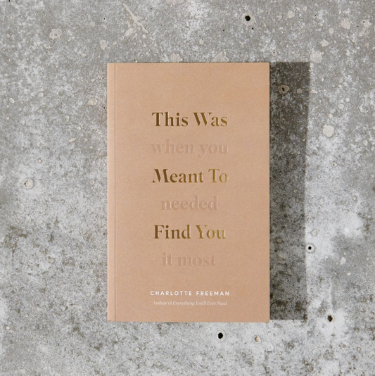 This Was Meant To Find You (When You Needed It Most) Book