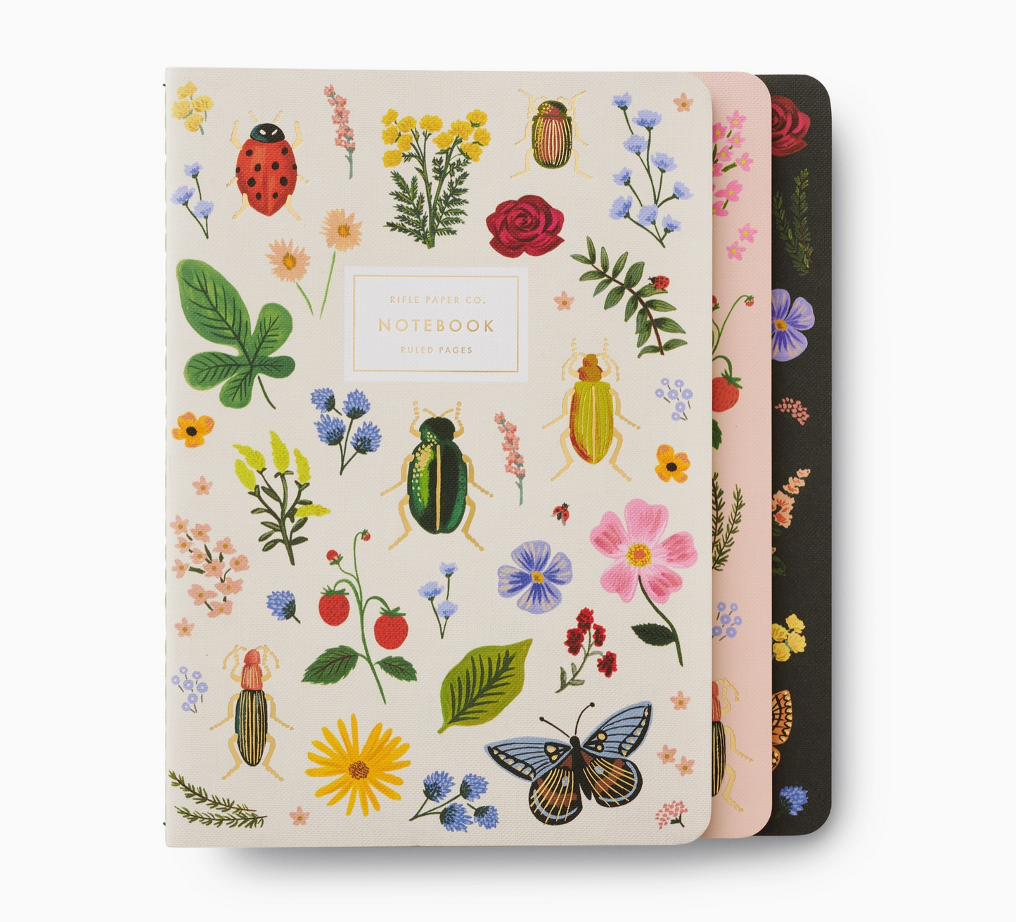 Assorted Set of 3 Curio Notebooks