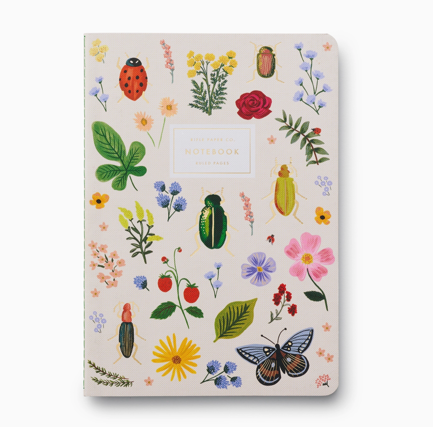 Assorted Set of 3 Curio Notebooks