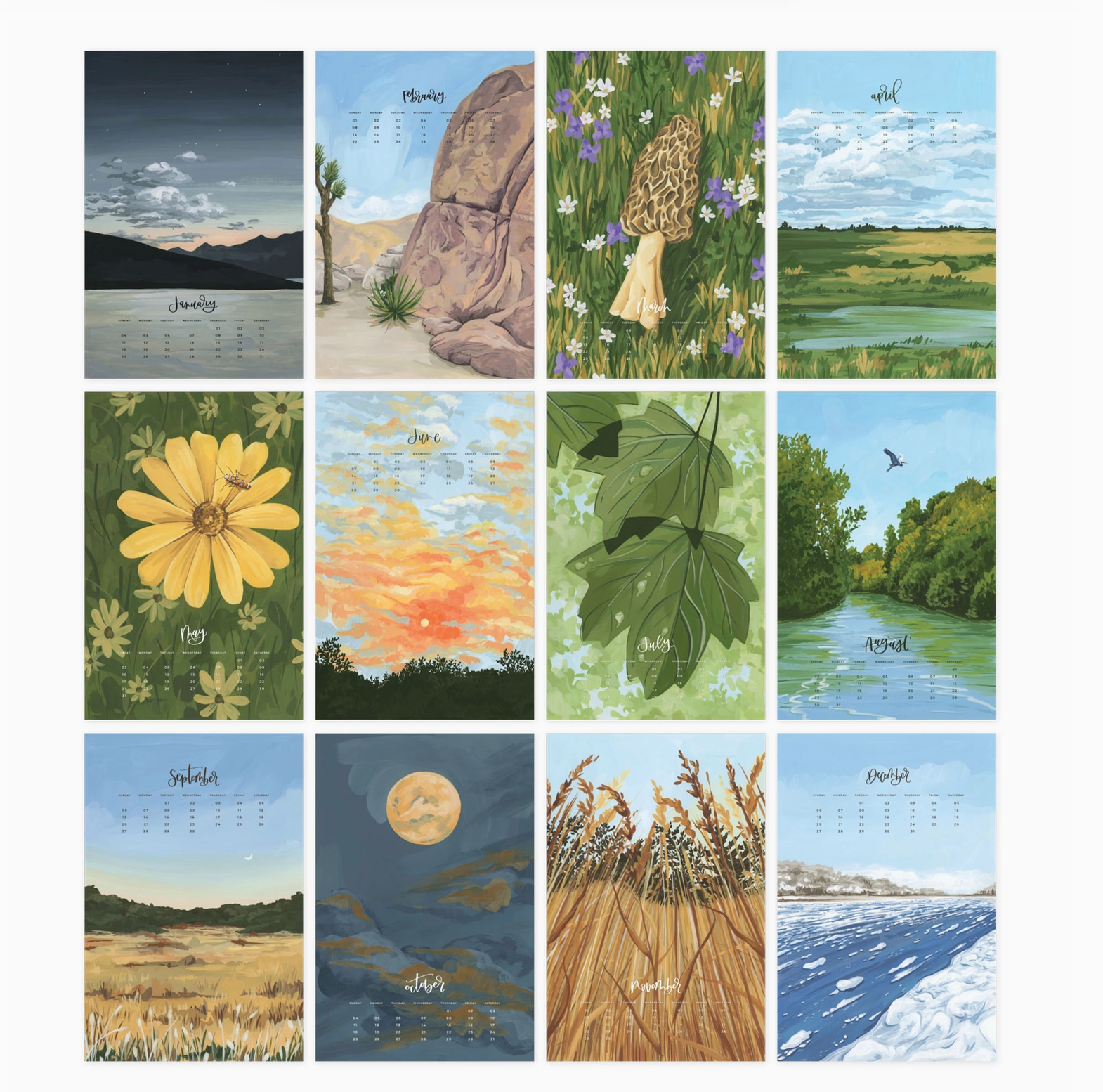 2026 XL Calendar - Natural World