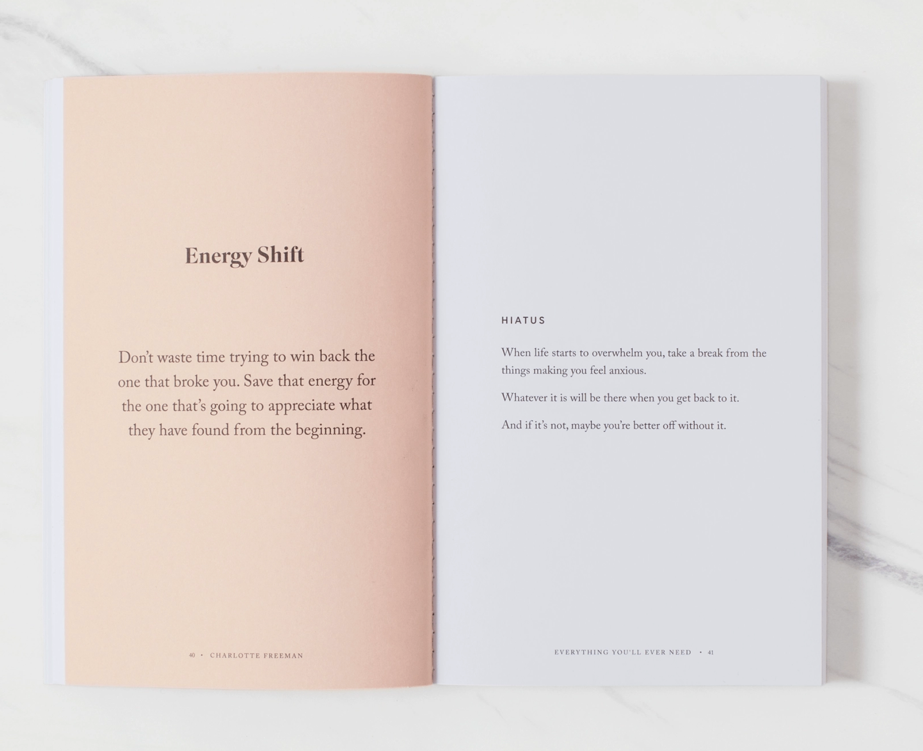 Everything You'll Ever Need Book