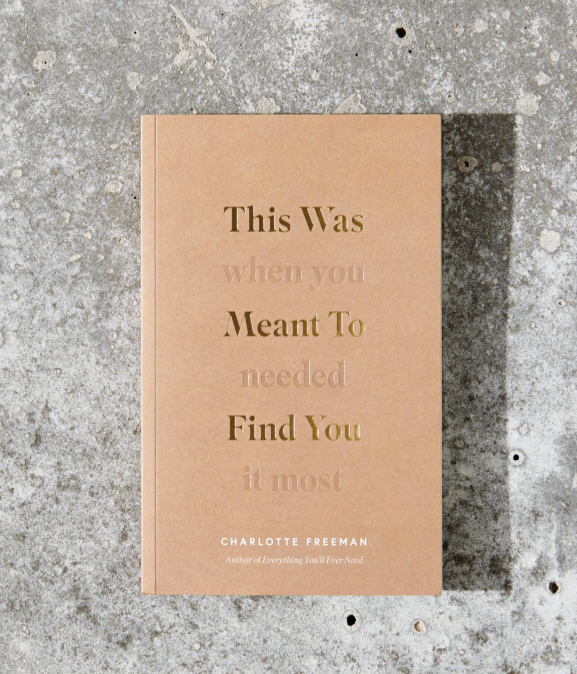 This Was Meant To Find You Book