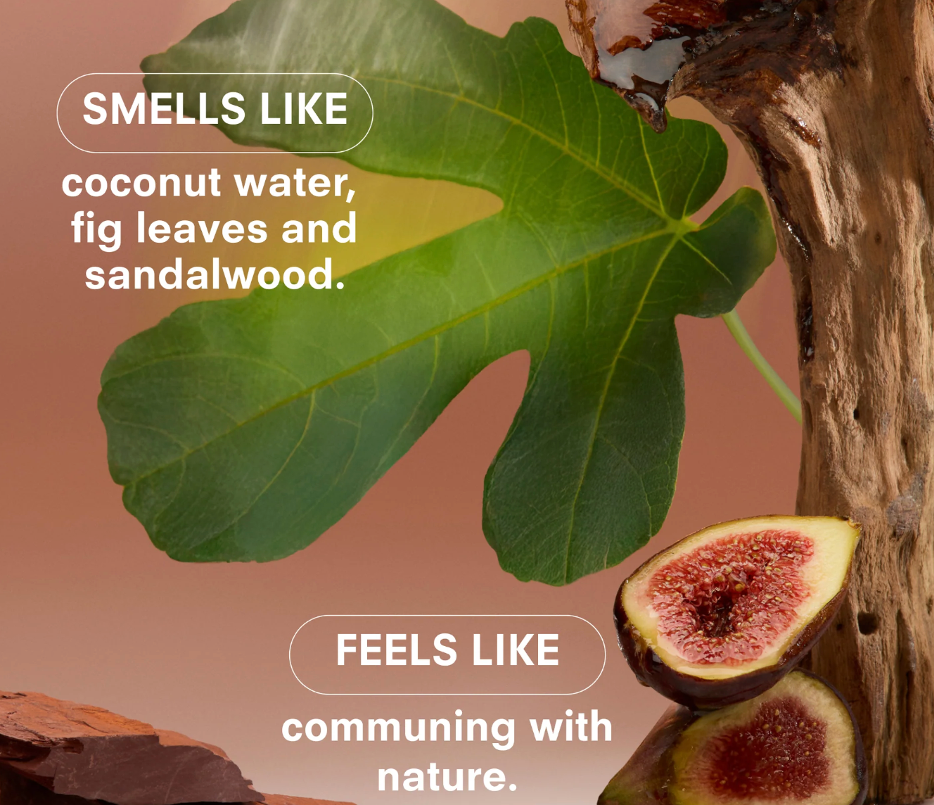 Woodphoria - Boy Smells Travel Spray