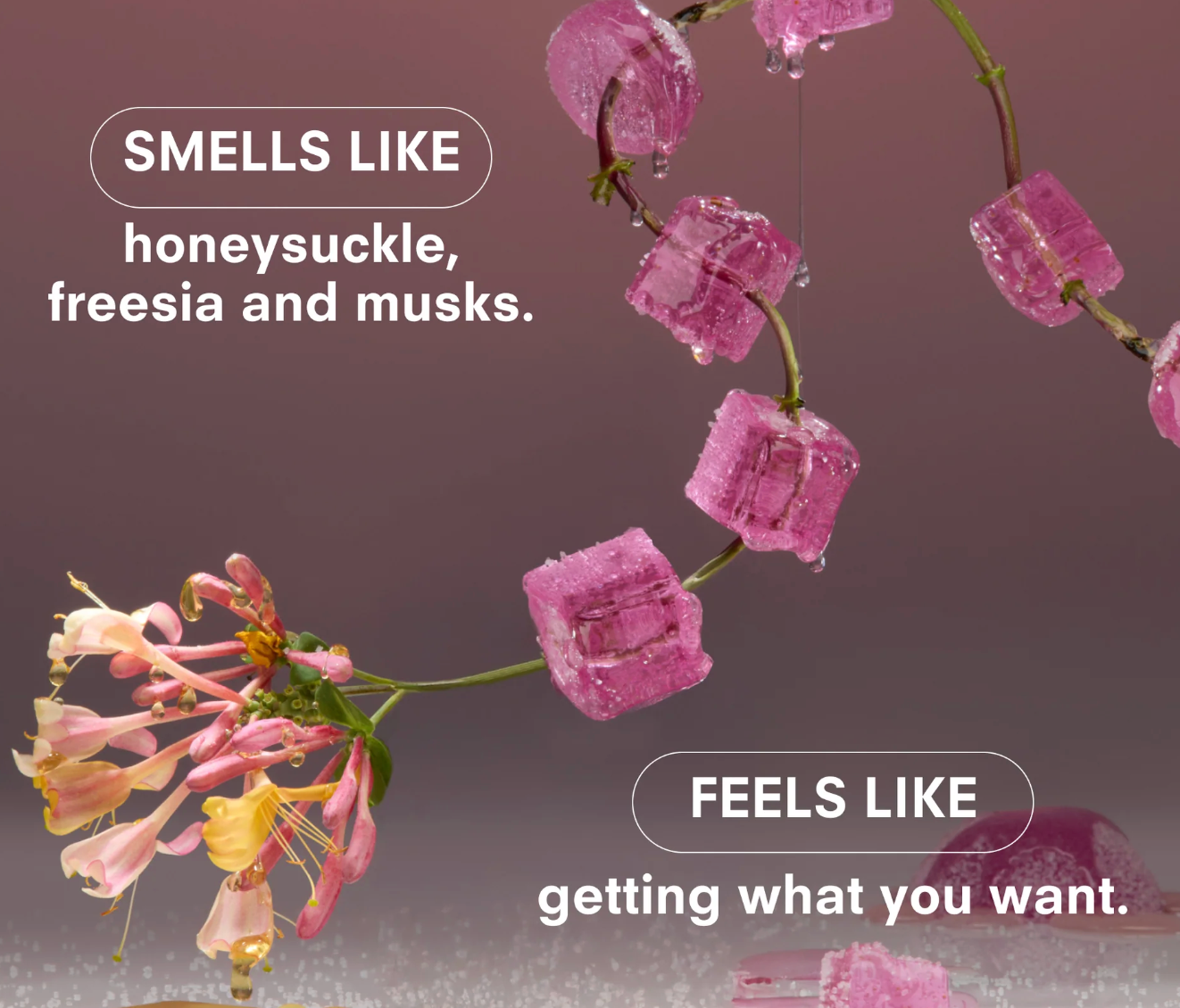 Sugar Baby - Boy Smells Travel Spray