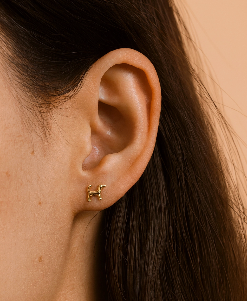 Fortune Dog Studs