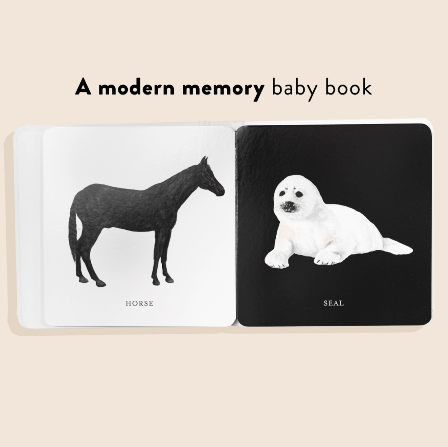 Baby's Black and White Book