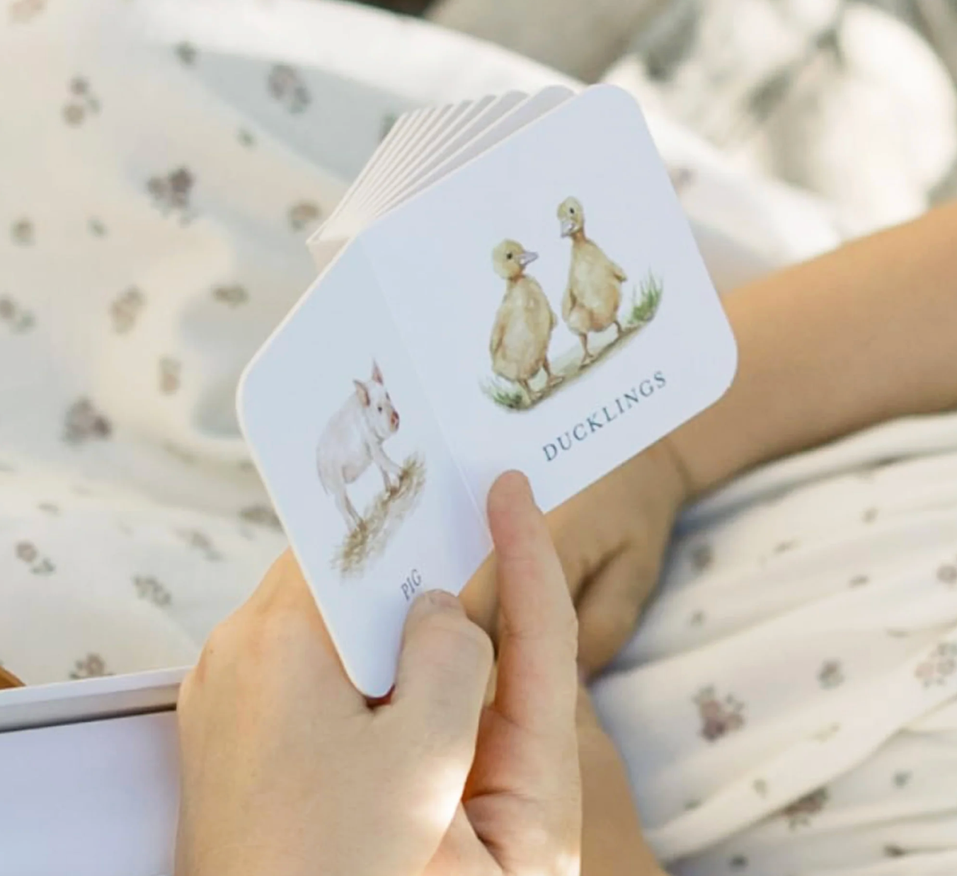 Our Very Little Library Board Book Set