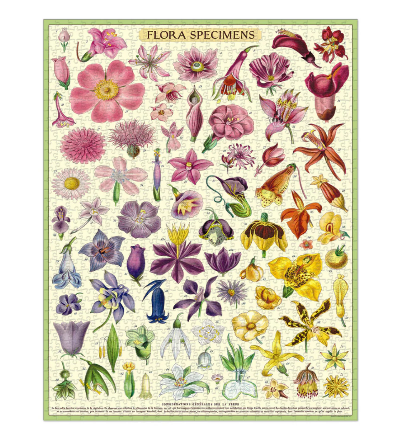 Flora Specimen | 1,000 Piece Jigsaw Puzzle