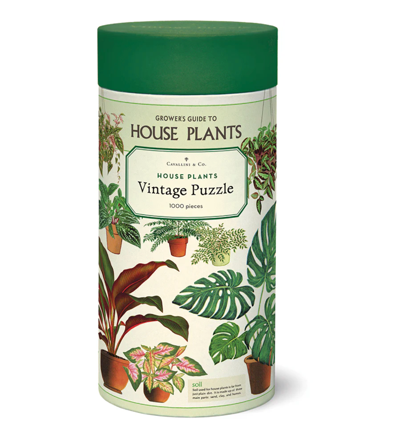 House Plants | 1,000 Piece Jigsaw Puzzle