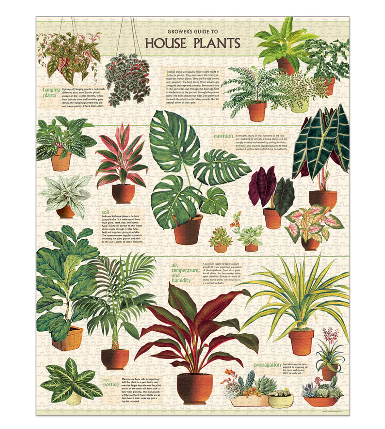 House Plants | 1,000 Piece Jigsaw Puzzle
