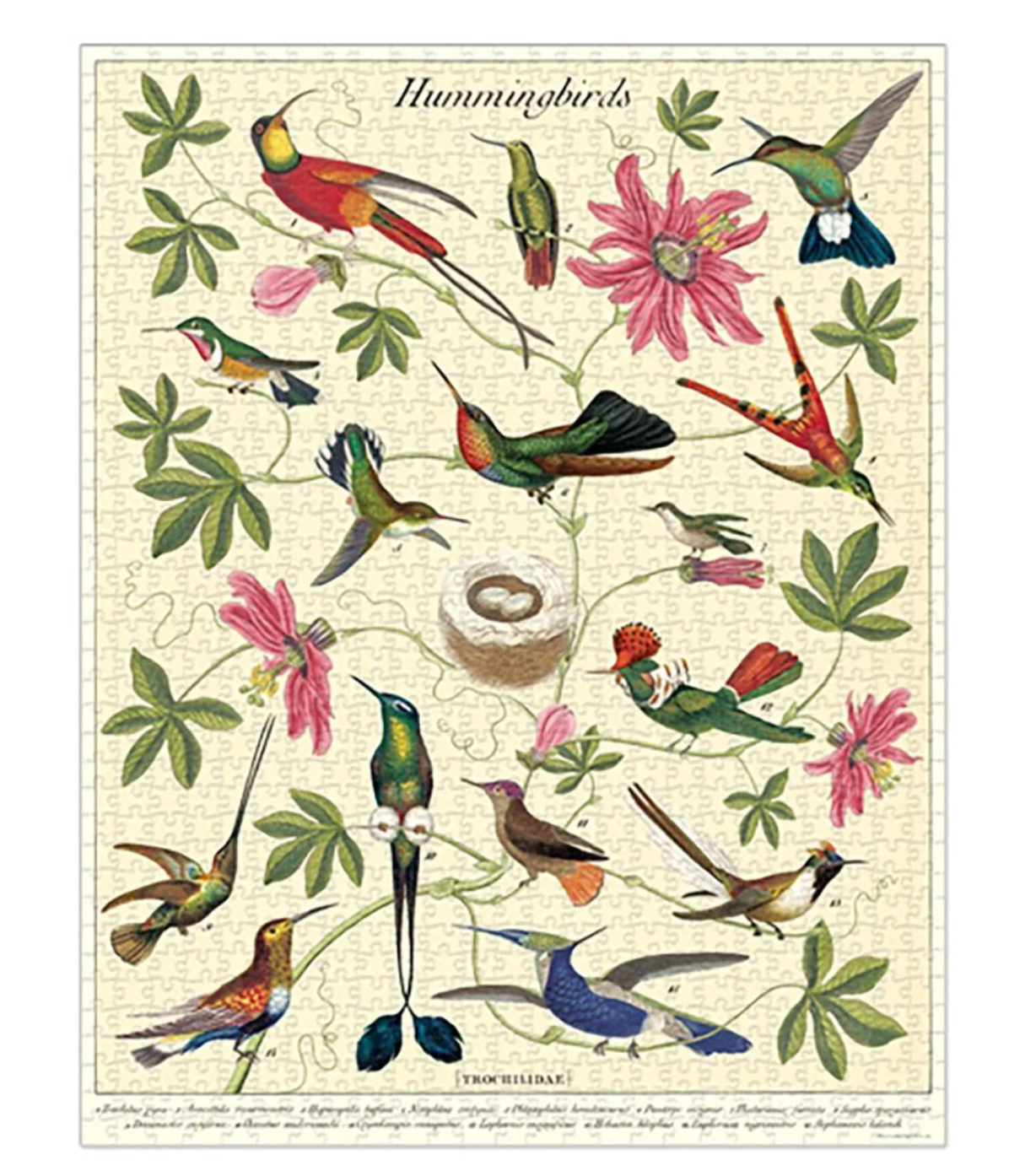 Hummingbirds | 1,000 Piece Jigsaw Puzzle