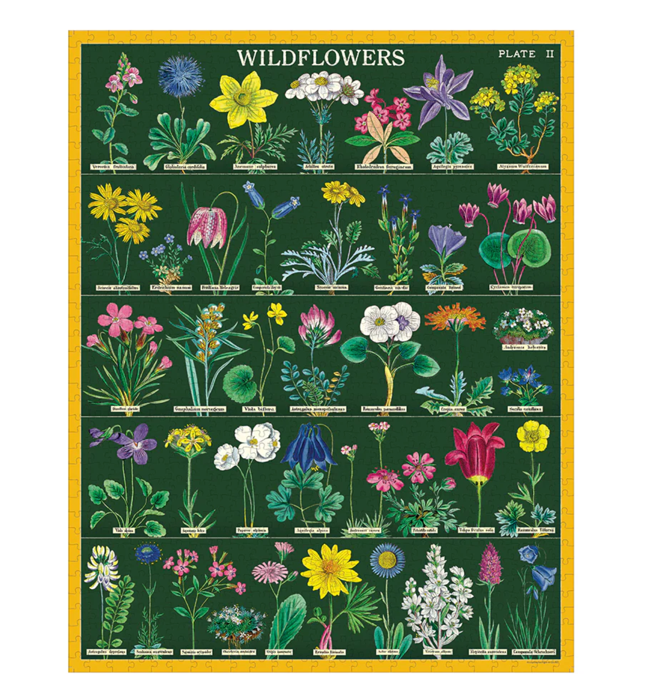 Wildflowers 2 | 1,000 Piece Jigsaw Puzzle