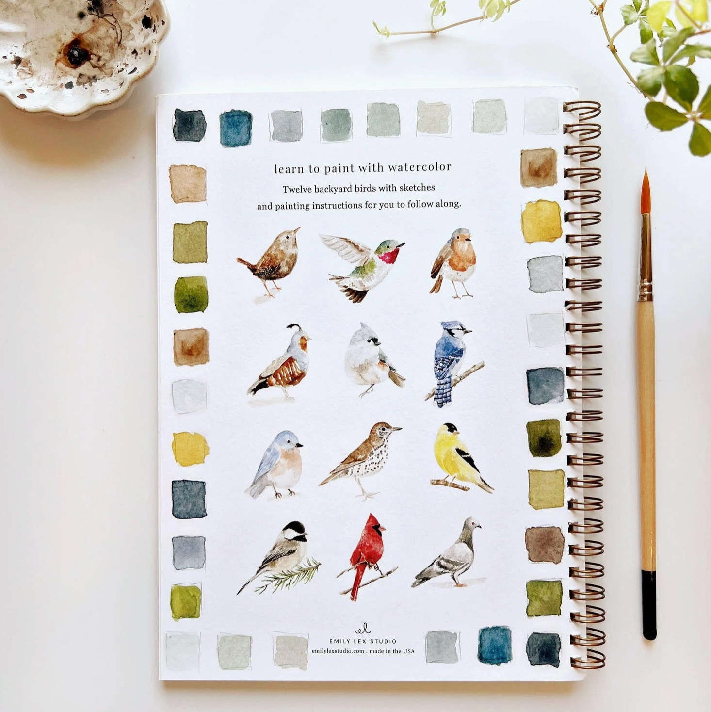 Birds Watercolor Workbook