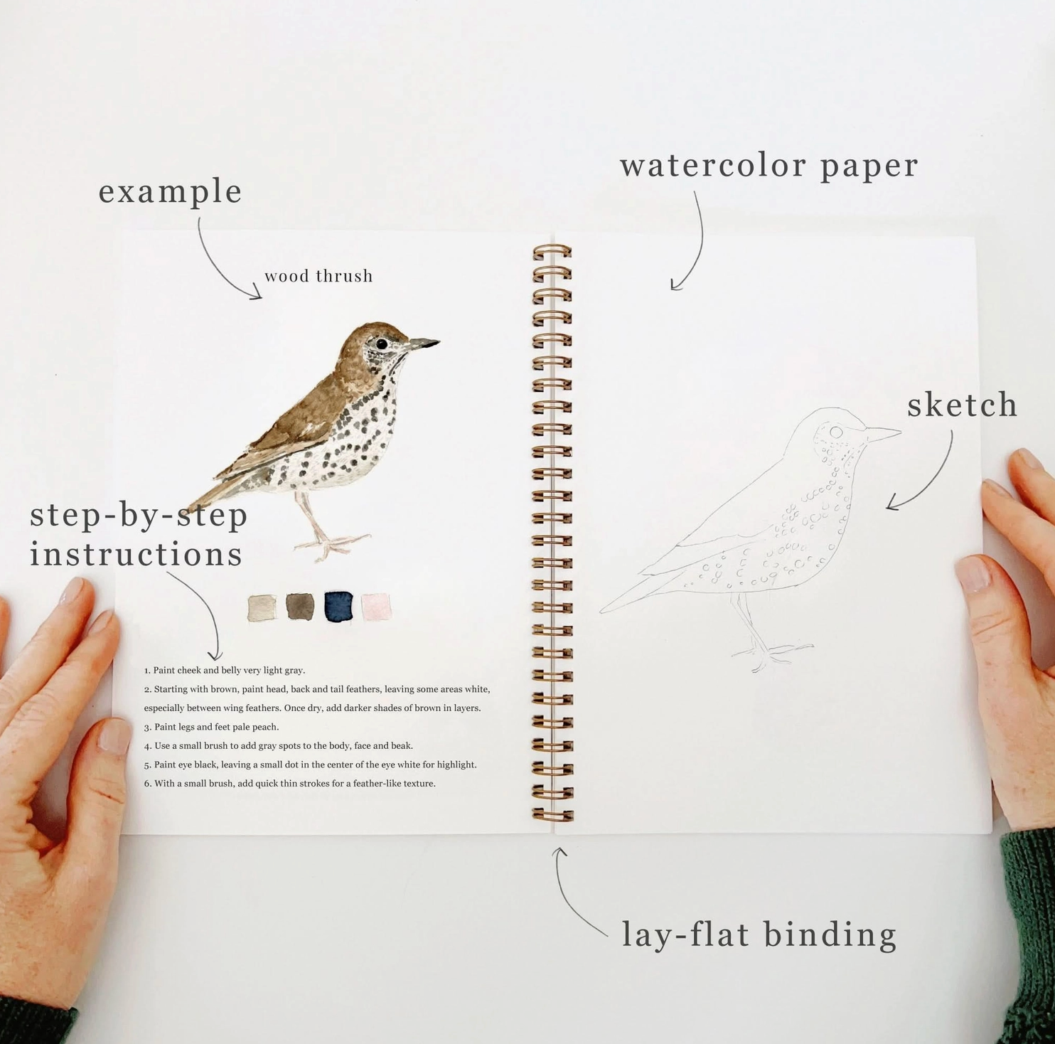 Birds Watercolor Workbook