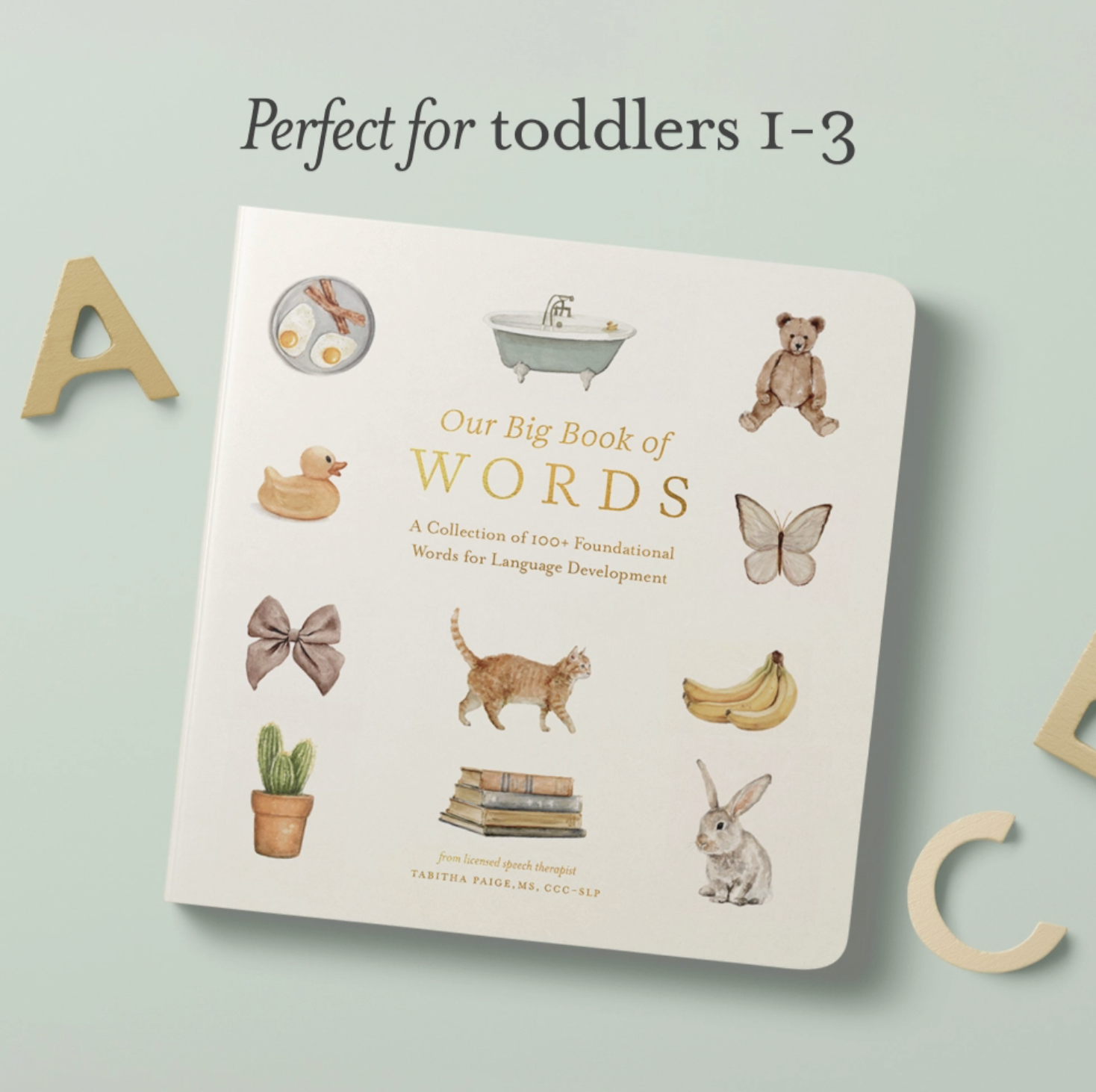 Our Big Book of First Words