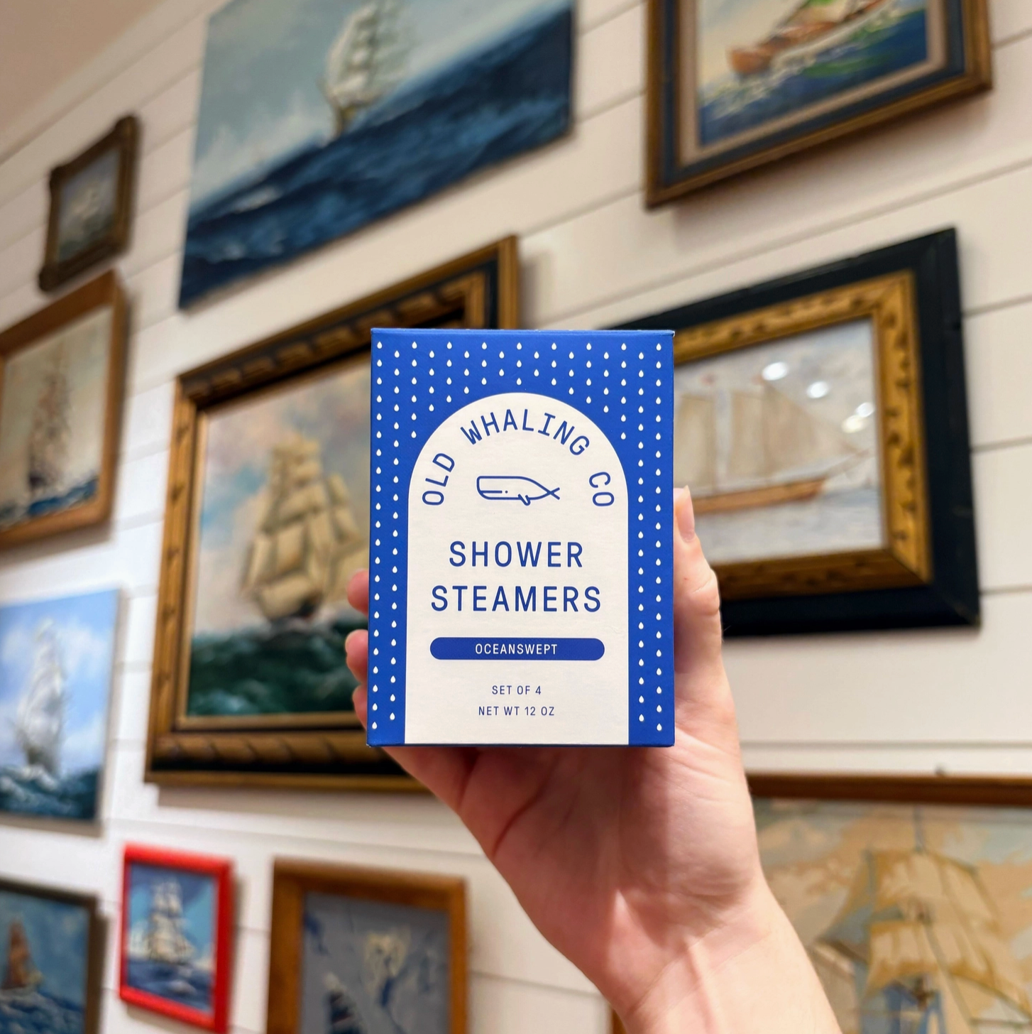 Oceanswept Shower Steamers