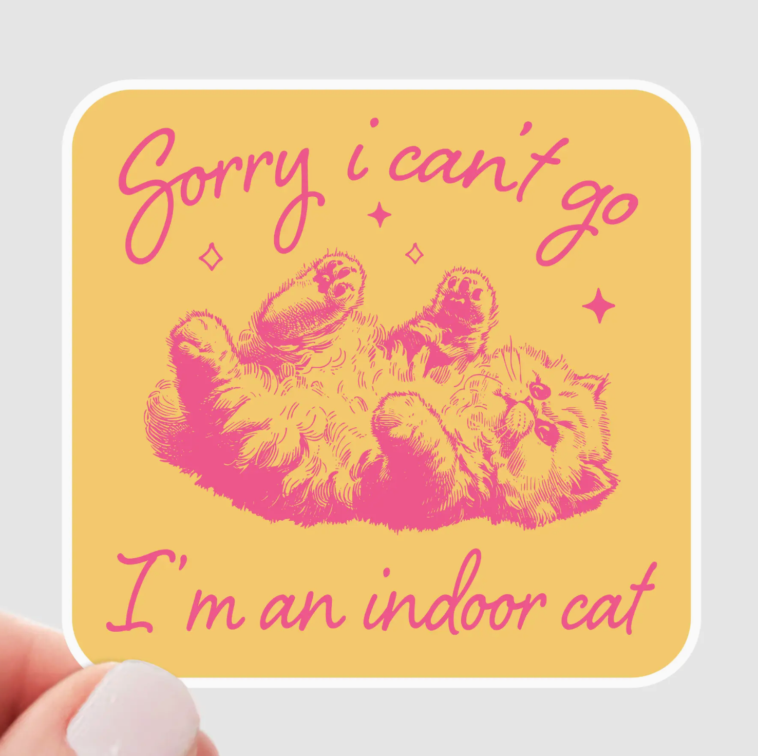 Sorry I Can't Go I'm An Indoor Cat Sticker
