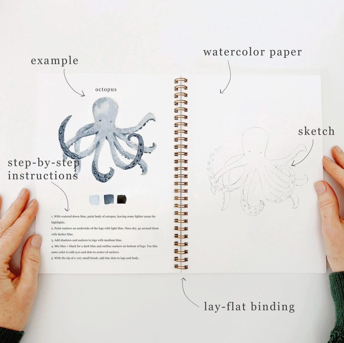 Seaside Watercolor Workbook