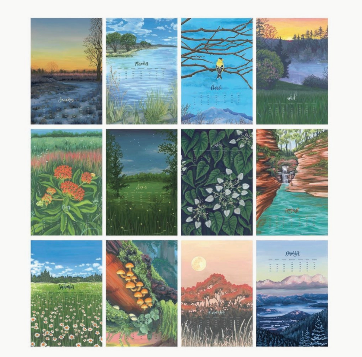 2027 XL Calendar - Natural World