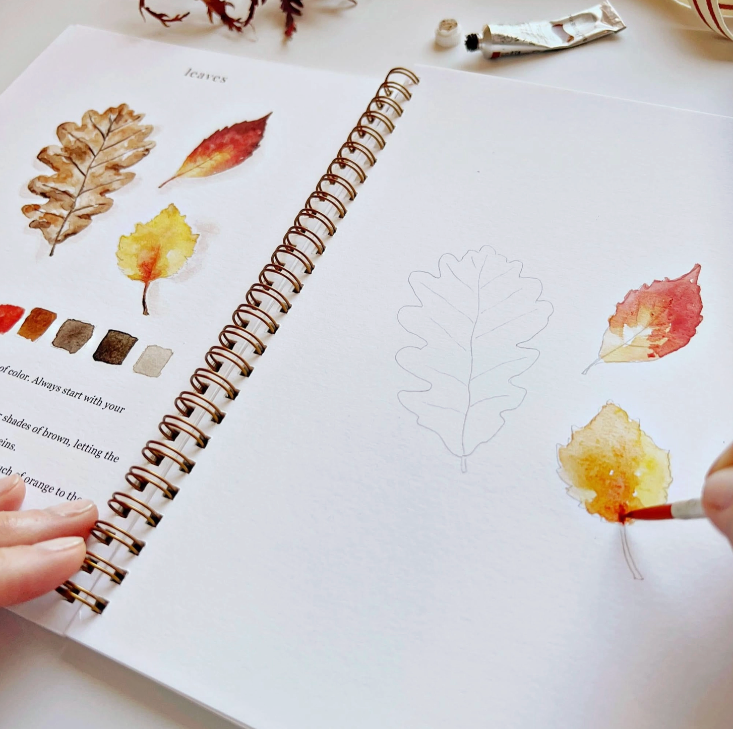Autumn Watercolor Workbook