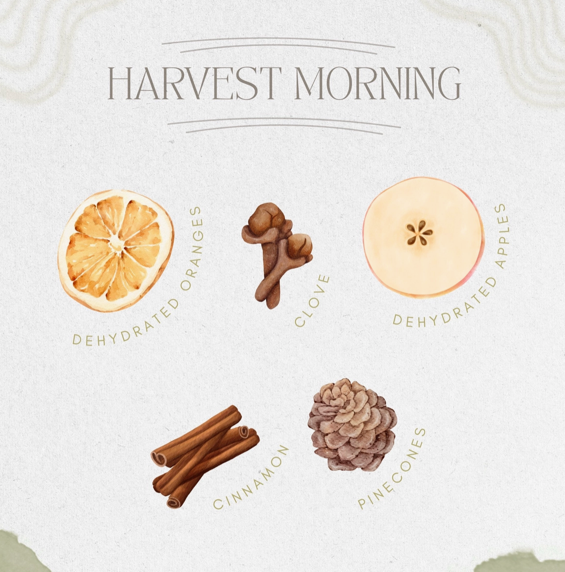 Harvest Morning Simmer Pot