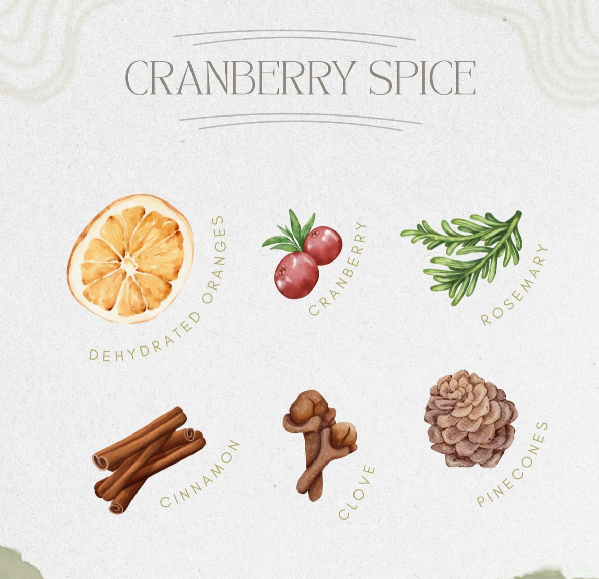Cranberry Spice Simmer Pot
