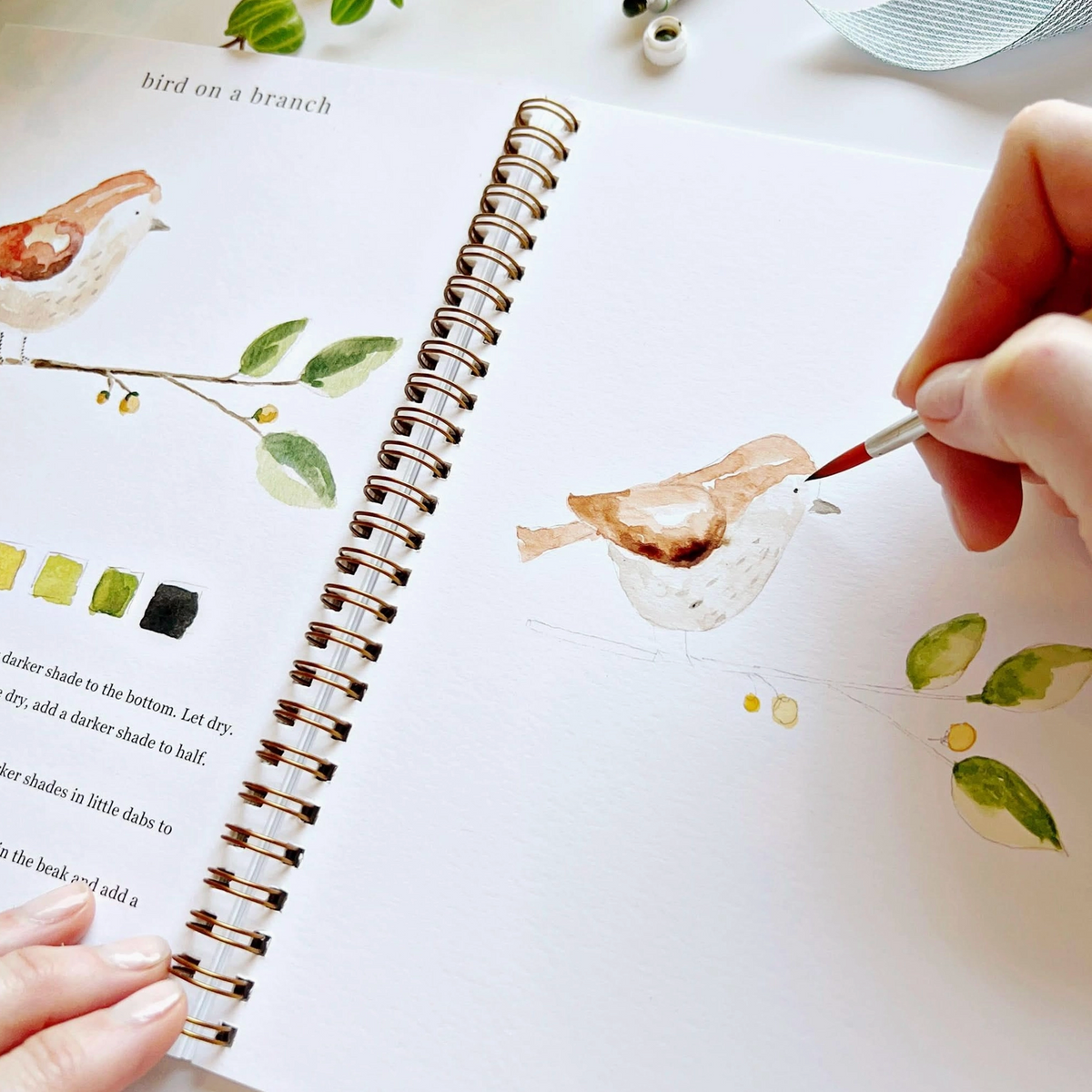 Animal Watercolor Workbook