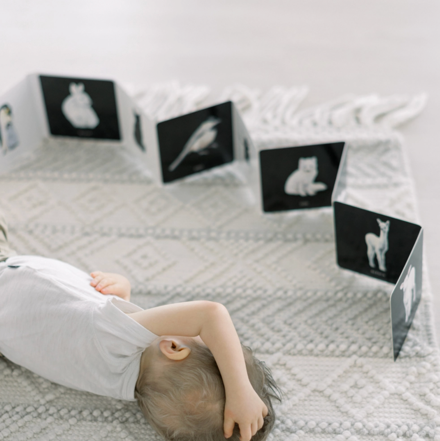 Baby's Black and White Book