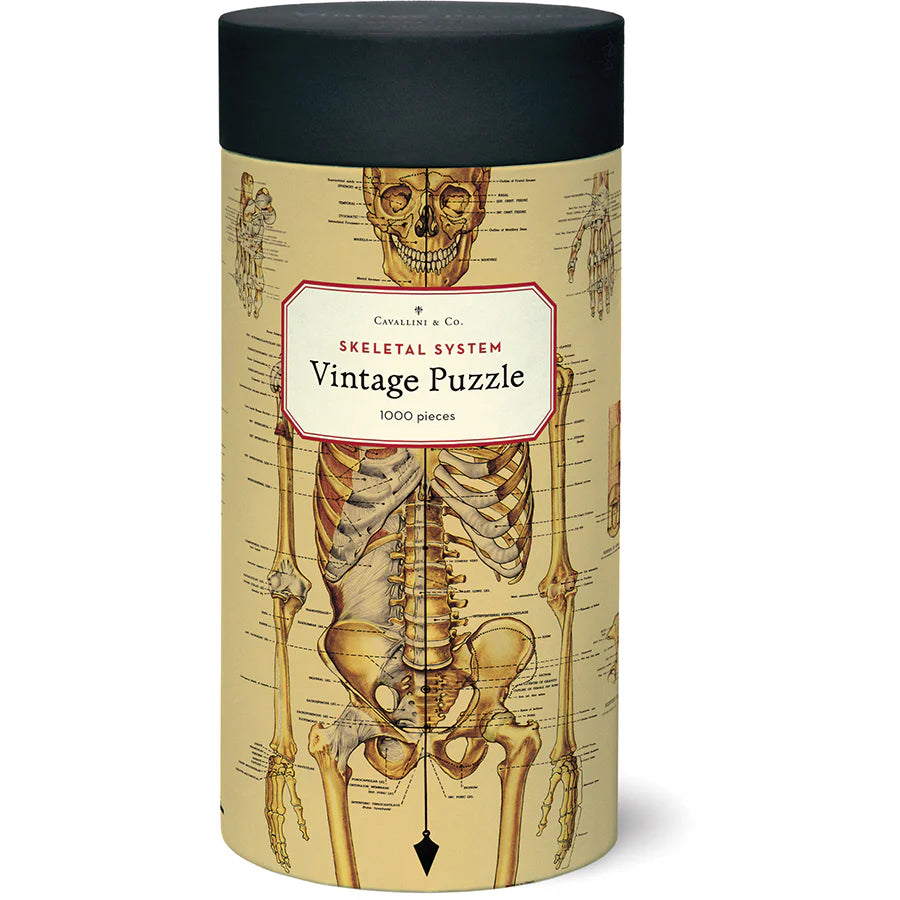 Skeletal System | 1,000 Piece Jigsaw Puzzle