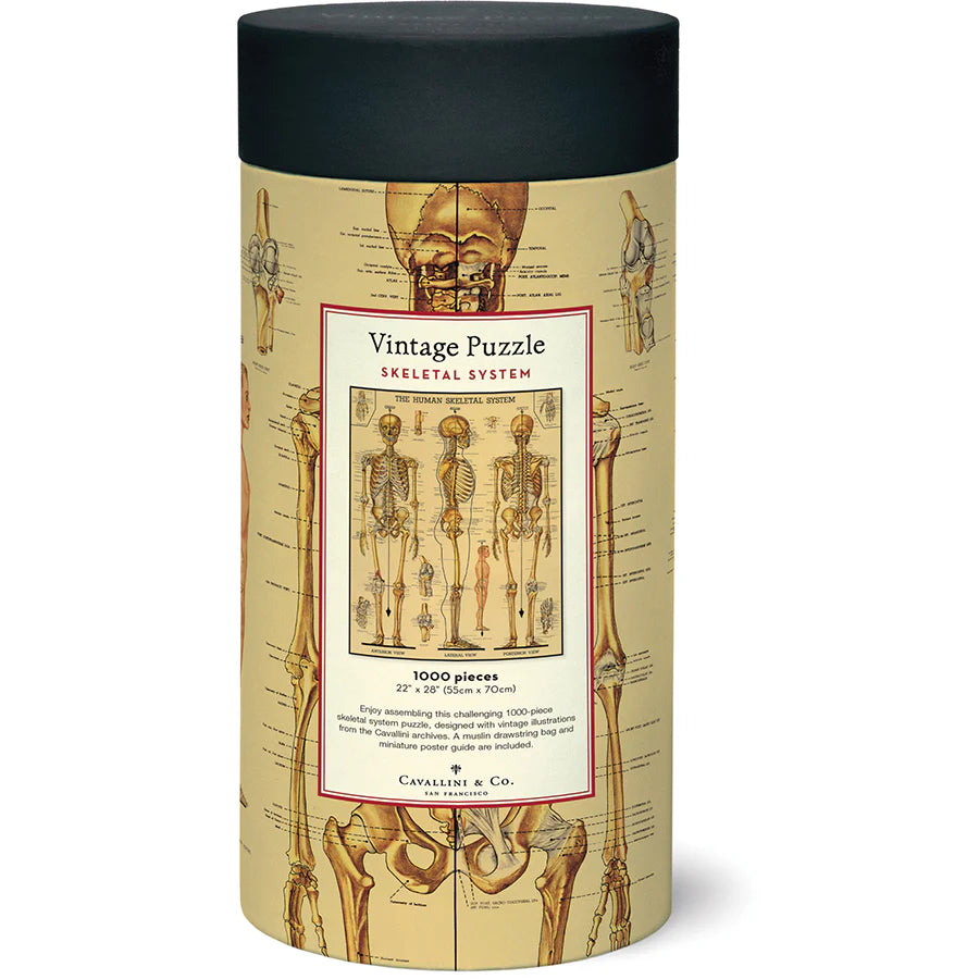 Skeletal System | 1,000 Piece Jigsaw Puzzle