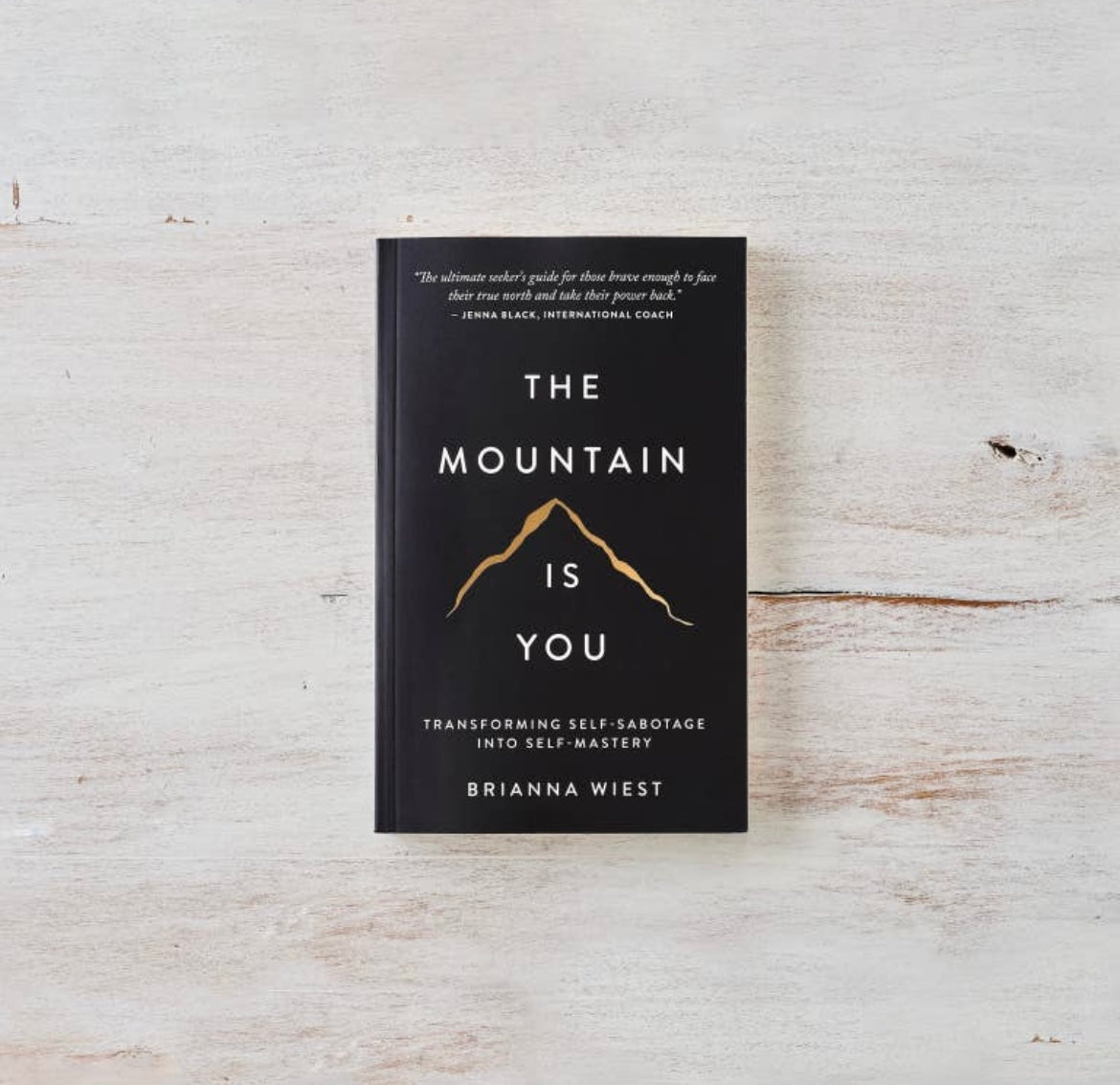 The Mountain is You Book