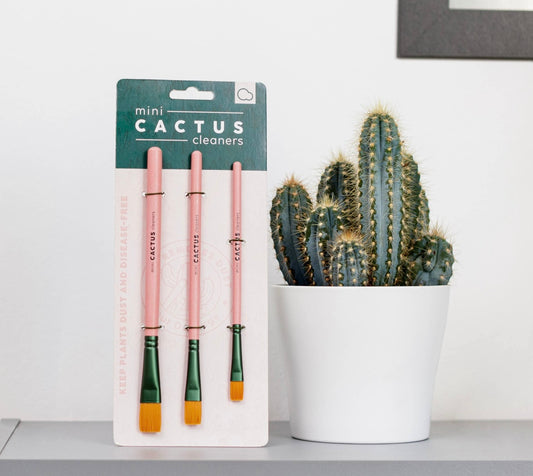 Mini Cactus Cleaner Brushes